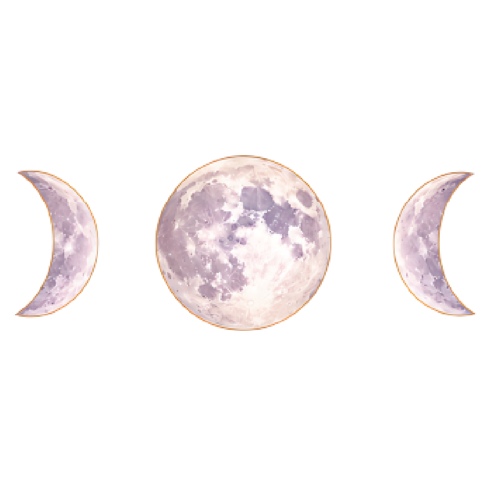 Stay Wild Moon Child collection